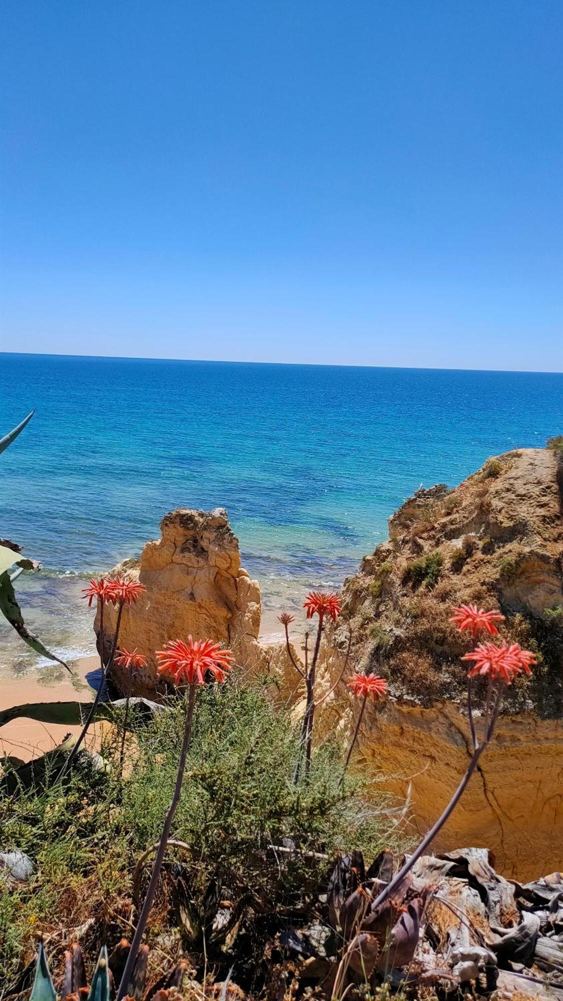Cantinho Do Sol - Sea View, Quiet, Cozy And Relaxing Flat Армасан-де-Пера Экстерьер фото