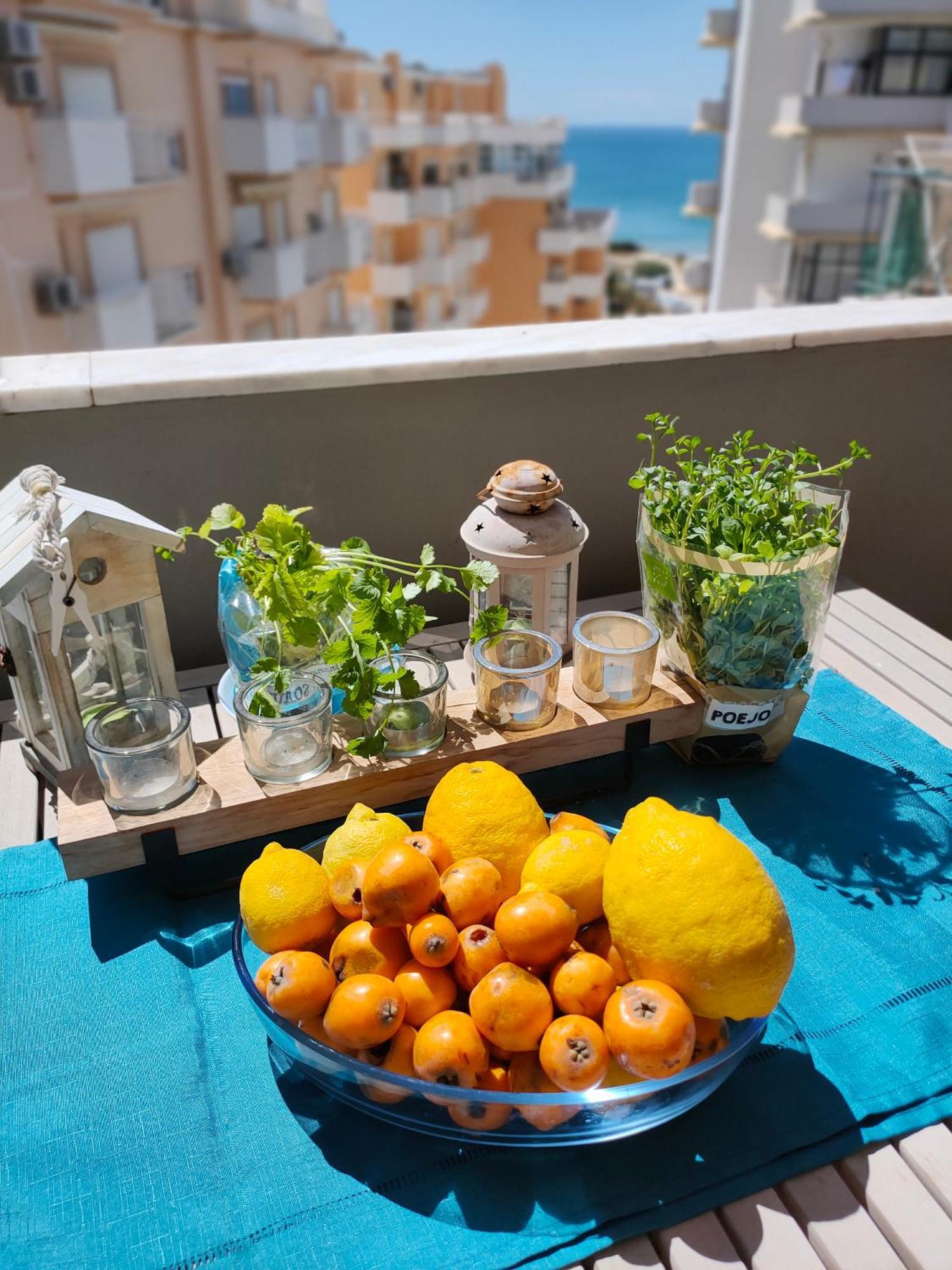 Cantinho Do Sol - Sea View, Quiet, Cozy And Relaxing Flat Армасан-де-Пера Экстерьер фото
