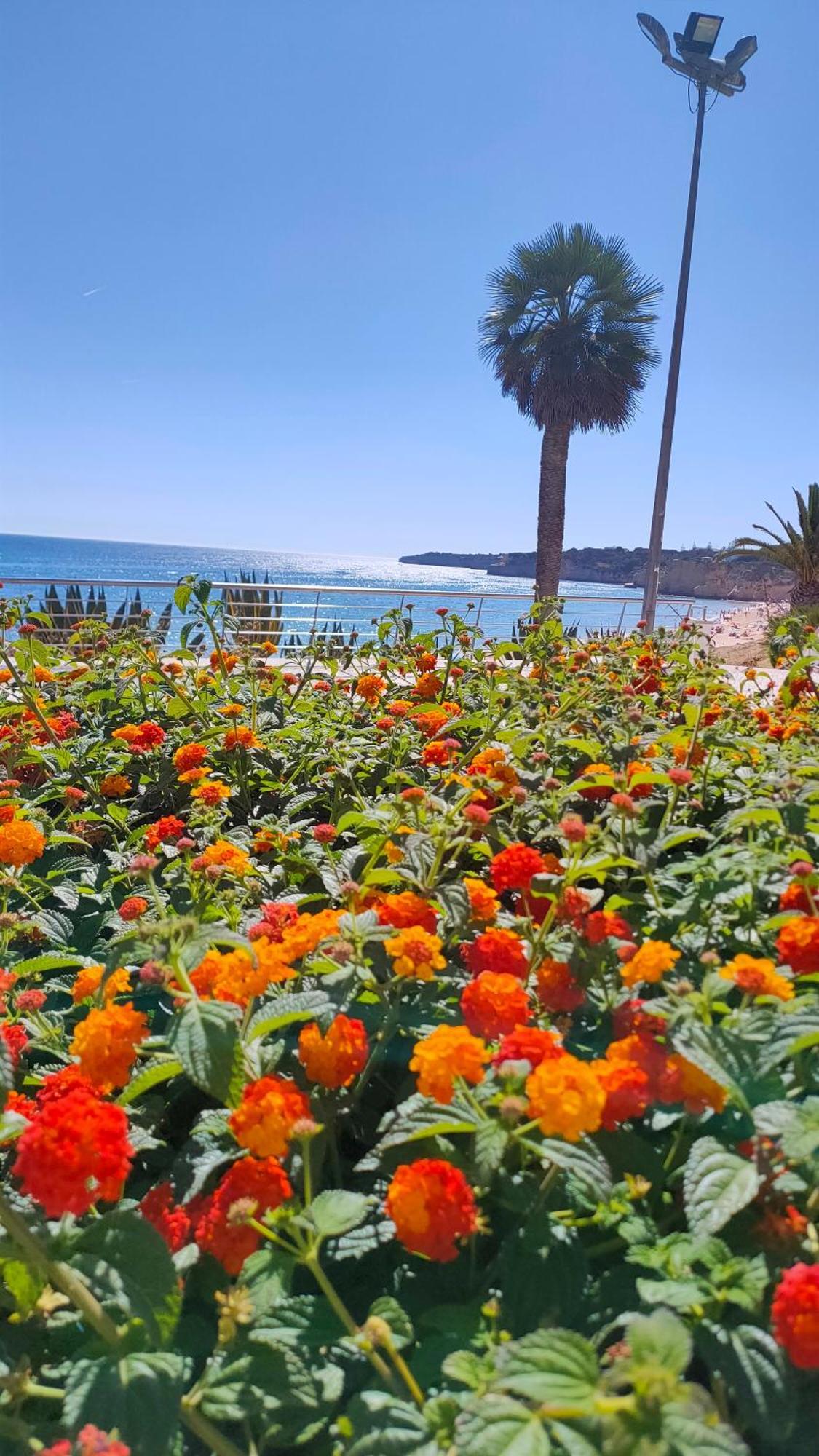Cantinho Do Sol - Sea View, Quiet, Cozy And Relaxing Flat Армасан-де-Пера Экстерьер фото